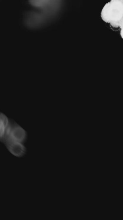 𝐒𝐓𝐀𝐑𝐆𝐈𝐑𝐋